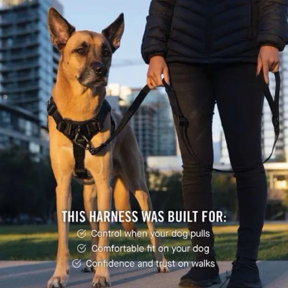 Canada Pooch Complete Control Dog Harness, Black, Large Brand New - Picture 13 of 15